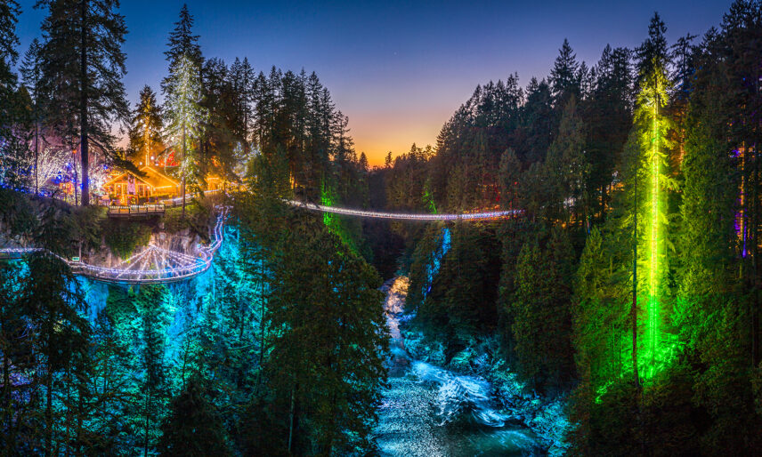 Canyon Lights | Capilano Suspension Bridge Park
