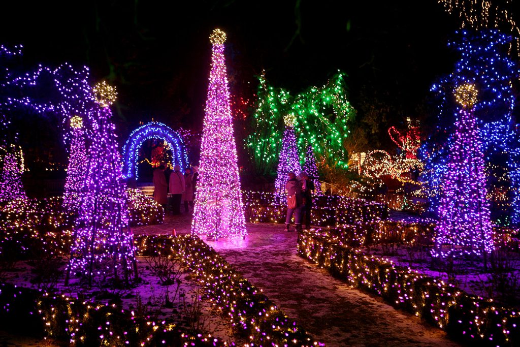 VanDusen's Festival of Lights | MONTECRISTO