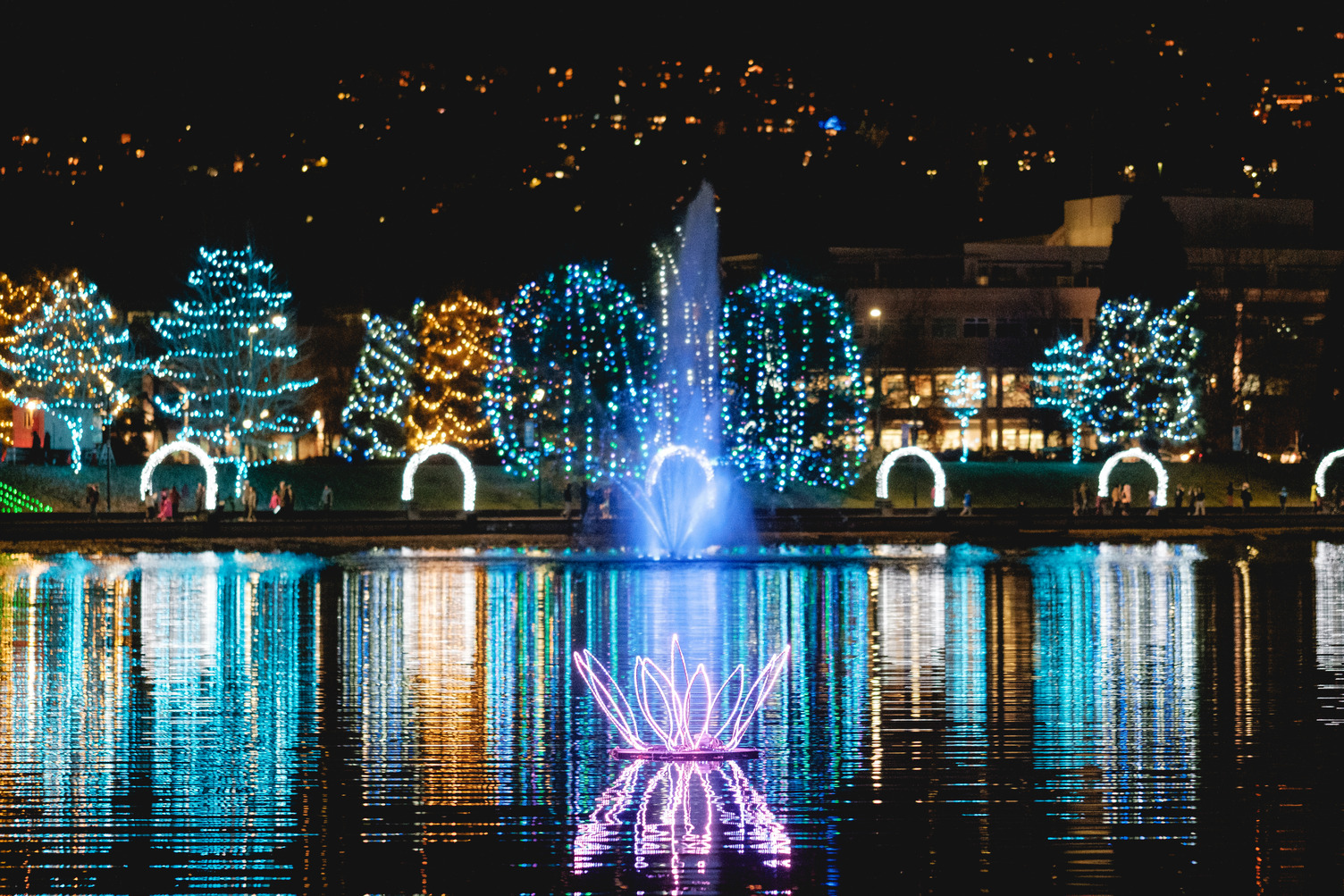 Lights at Lafarge Winter Lights Display - Tourism Coquitlam