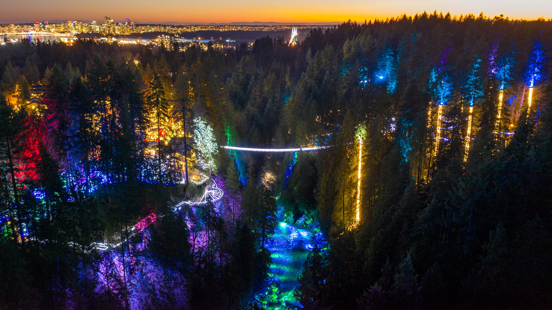 Canyon Lights | Capilano Suspension Bridge Park